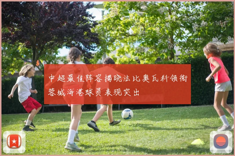 中超最佳阵容揭晓法比奥瓦科领衔蓉城海港球员表现突出