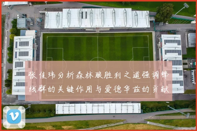 张佳玮分析森林狼胜利之道强调锋线群的关键作用与爱德华兹的贡献