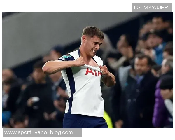 热刺希望续约范德芬但球员对现状不满弗兰克难以掌控局面 热刺希望续约范德芬但球员对现状不满弗兰克难以掌控局面